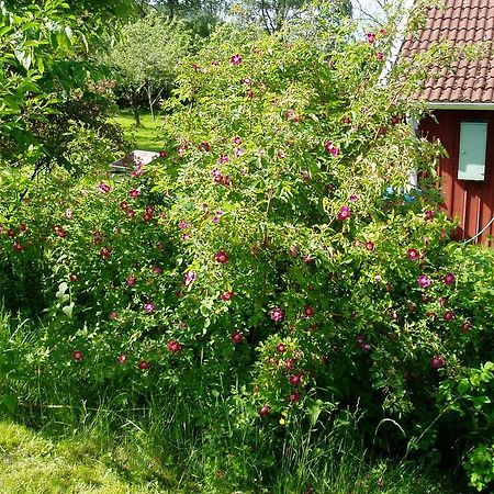 Langesater B&B Lerdala Kültér fotó