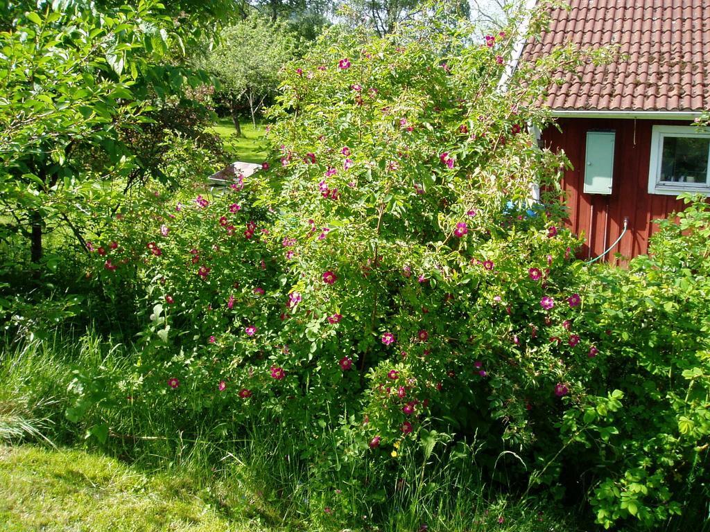 Langesater B&B Lerdala Kültér fotó